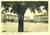 Cartolina originale da collezione 1940 ca COPPARO FE PALAZZO MUNICIPALE in Piazza del Popolo Cartolina animata 1