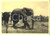 Cartolina originale da collezione 1936 HARAR ETIOPIA Elefanti passano tra le capanne di un villaggio Cartolina 1