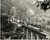 Fotografia d'epoca originale 1960 ca NEMO (TENNESSEE) Runthrough train crossing EMORY River - REAL PHOTO 1