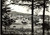 Cartolina originale da collezione 1969 CONSUMA FI Scene di vita di montagna FG VG 1
