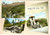 Cartolina originale da collezione 1963 VIU  TO Vedutine con asilo e VILLA FINO Cartolina FG VG 1