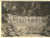 Fotografia d epoca originale 1931 DOGNA UD La diga per il torrente Dogna ANIMATA 1
