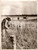 Fotografia d epoca originale 1941 SAINTQUENTIN F WW2 Contadini arano campi di battaglia Fotografia 1