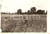 Fotografia d epoca originale 1930 ca VILLA SANTA LUCIA FR Campo moltiplicazione grano ANIMATA Fotografia 1