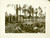 Fotografia d epoca originale 1935 ca TRIPOLI LIBIA Lezione di CORANO all aperto Fotografia PUCCI 1