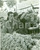 Fotografia d epoca originale 1942 MILANO Mercato dell uva a PORTA VITTORIA Fotografia 1