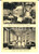 Cartolina originale da collezione 1950 ca CAMOGLI GE Punta Chiappa  Ristorante PESCE D ORO Salone interno 1