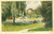 Cartolina originale da collezione 1930 ca ROVERETO TN Donna su una panchina ai Giardini ITALIA Cartolina FP NV 1