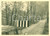 Fotografia d epoca originale 1950 VIGEVANO PV FIAT 508C Nuova Balilla 1100 persa nel bosco FOTOGRAFIA 1