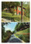Cartolina originale da collezione 1972 USCIO GE Vedutine Colonia della salute CARLO ARNALDI Cartolina VINTAGE FG 1