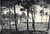 Cartolina originale da collezione 1950 ca MASSA Panorama della frazione RONCHI Cartolina postale FG NV 1