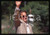 Fotografia d epoca originale Kevin COSTNER  VENEZIA Mostra del Cinema 1995  35 mm vintage slide 79 1