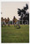 1990 GLENDALE - FOOTBALL Workout of GLENDALE College team *Foto 10x15 cm (66)