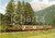 Cartolina originale da collezione 1979 BEVER SVIZZERA Rhätische Bahn RhB Locomotiva Ge 6/6 I 405 Cartolina FG NV 1