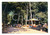 Cartolina originale da collezione 1970 ca VIAREGGIO LU Pineta di Ponente Parco divertimenti Cartolina VINTAGE 1