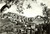 Cartolina originale da collezione 1960 ca CAMPIGLIA MARITTIMA LI Panorama dal lato ovest Cartolina FG NV 1
