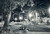 Cartolina originale da collezione 1960 ALBENGA SV Riviera delle palme e fontana dell ANFORA Cartolina FG VG 1
