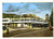 Cartolina originale da collezione 1950 ca TRENTO Stazione autocorriere   Monumento a Cesare BATTISTI Cartolina 1