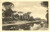 Cartolina originale da collezione 1925 RAVENNA La PINETA Riserva Naturale  Parco Delta del PO Cartolina FP VG 1