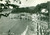 Cartolina originale da collezione 1953 LERICI SP Panorama generale del Lido Cartolina FG VG 1