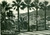 Cartolina originale da collezione 1957 SANTA MARGHERITA LIGURE GE Panorama da Villa delle Palme Cartolina FG VG 1
