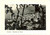 Cartolina originale da collezione 1952 SORRENTO NA Panoramica aerea da PARISE Cartolina FG VG 1