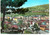Cartolina originale da collezione 1963 CASTEL SAN NICCOLO  AR Panorama frazione STRADA IN CASENTINO Cartolina 1