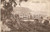 Cartolina originale da collezione 1926 PIETRA LIGURE SV Panorama con pini marittimi Cartolina FP VG 1