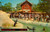 Cartolina originale da collezione 1970 ca BUENA PARK (USA) Foche parco KNOTT'S BERRY FARM *Cartolina VINTAGE 1