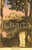 Cartolina originale da collezione 1925 GORIZIA Veduta del castello Cartolina postale FP NV 1