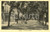 Cartolina originale da collezione 1951 GRADO GO Scorcio di via DANTE ALIGHIERI Cartolina ANIMATA FP VG 1