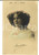 Cartolina originale da collezione 1909 Giovane romantica con una coroncina di rose Cartolina VINTAGE ing. BONELLI 1