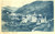 Cartolina originale da collezione 1949 BORZONASCA GE Panorama del paese in alta VALLE STURLA Cartolina FP VG 1