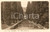Cartolina originale da collezione 1935 ca CERNOBBIO CO Viale dell ERCOLE  Giardini Villa D ESTE Cartolina FP NV 1