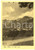 Cartolina originale da collezione 1950 VILLAR PELLICE TO Panorama con Alpi Cozie Cartolina postale FG VG 1