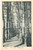 Cartolina originale da collezione 1935 ca ACQUI TERME AL Viale della Madonnetta Cartolina FP NV 1