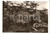 Cartolina originale da collezione 1954 TORRIGLIA GE Scorcio panoramico e chiesa SANT ONORATO di ARLES FG VG 1