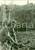 Fotografia d epoca originale 1943 CAMPAGNA MILANESE WW2 Sfollati della provincia si dedicano all agricoltura 1