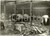 Fotografia d epoca originale 1934 PARIGI F Elefanti morti nell incendio Bois de VINCENNES Foto DANNEGGIATA 1