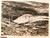 Fotografia d epoca originale 1939 CALIFORNIA USA Veduta di Monte GILROY la montagna che cammina FOTOGRAFIA 1