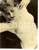 Fotografia d epoca originale 1955 ca EROTICA VINTAGE Blonde naked girl with gloomy expression REAL PHOTO 1