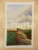 Stampa, bozzetto originale 1950 ca ARTE Paesaggio rurale con alberi al tramonto Acquerello 23 x 37 cm 1