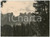 Fotografia d epoca originale 1950 ca DOLOMITI Veduta delle PALE DI SAN MARTINO dalla Baita Segantini Foto 1
