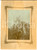 Fotografia d epoca originale 1900 ca ITALIA ESCURSIONISMO Gitanti in cima  Festa Foto CURIOSA 20x26 cm 1