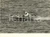 1954 STRESA MOTONAUTICA Europei FUORIBORDO Arrivo vincitore FranÃ§ois MALET Foto  Fotografia d'epoca con didascalia coeva al verso.   CONDIZIONI: G (ma lieve sovraimpressione circolare) FORMATO: 18x13 cm      originale e autentica 1