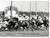 1959 IPPICA PARIS Ippodromo di LONGCHAMP - Grand Prix de l'Arc de triomphe *Foto Fotografia d'epoca con didascalia coeva al verso. CONDIZIONI: GFORMATO: 18x13 cm     originale e autentica 1