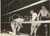 1954 PARIS BOXE Chérif HAMIA envoie au tapis Jacques DUMESNIL *Photo