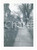 Fotografia d epoca originale 1953 SYRACUSE NY, USA Adams Street  Fotografia ANIMATA 9x13 cm 1