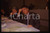 Fotografia d epoca originale 35mm vintage slide 1990 ROMA Claudio MARTELLI Conferenza Immigrazione 3 1