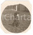 1920 ca BELGIO (?) Bracco tedesco KURZHAAR - Fotografia anonima 6x6 cm  Fotografia d'epoca. FAIR/discreto Lievi smussature agli angoli Formato: 6x6 cm originale e autentica 1